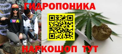 прущие крисы Нягань