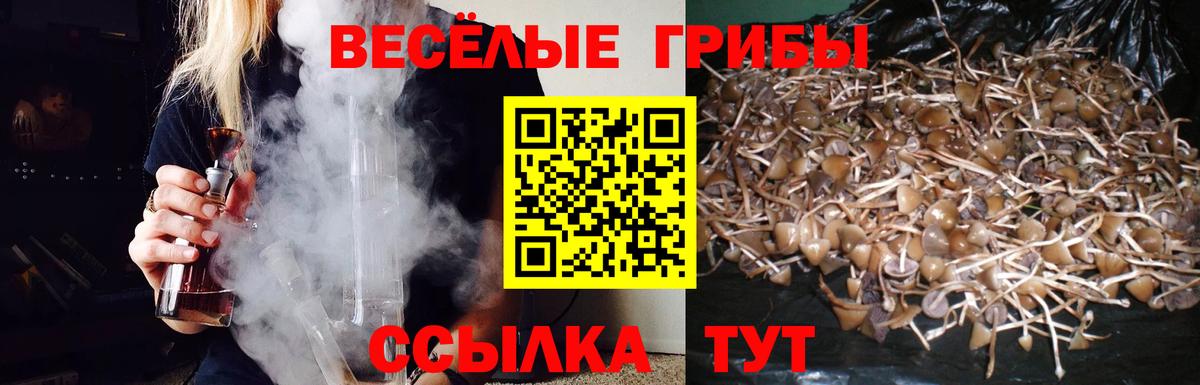 Симферополь  Галлюциногенные грибы мухоморы  Вход с VPN 